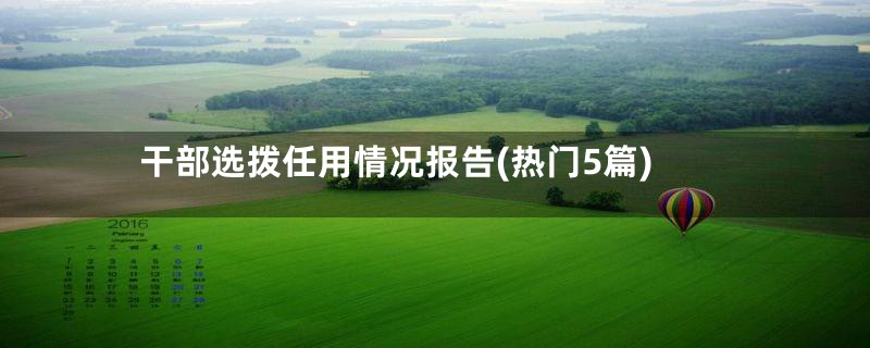 干部选拨任用情况报告(热门5篇)
