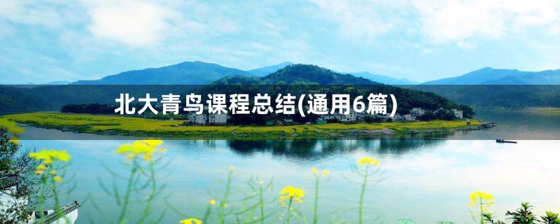 北大青鸟课程总结(通用6篇)