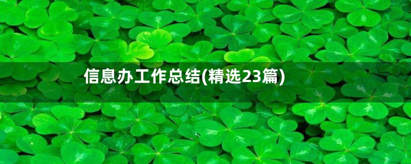 信息办工作总结(精选23篇)