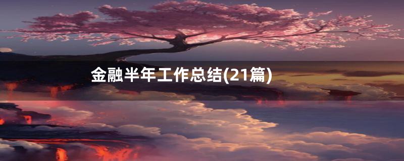 金融半年工作总结(21篇)