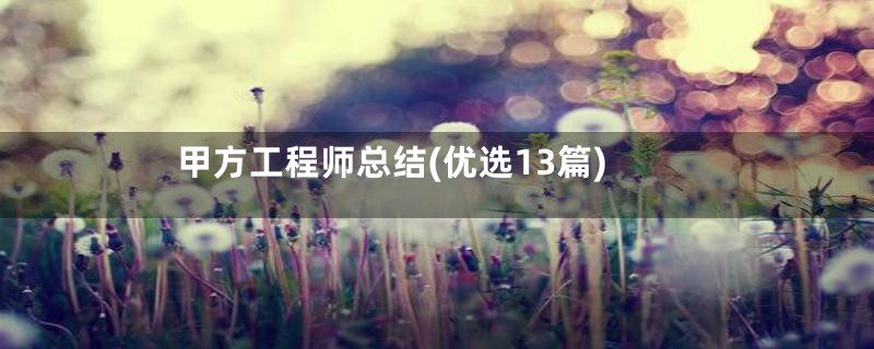 甲方工程师总结(优选13篇)