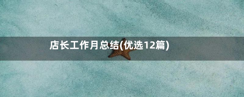 店长工作月总结(优选12篇)