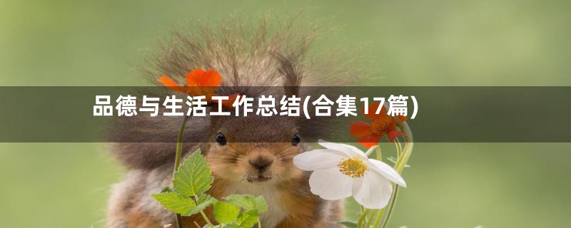 品德与生活工作总结(合集17篇)