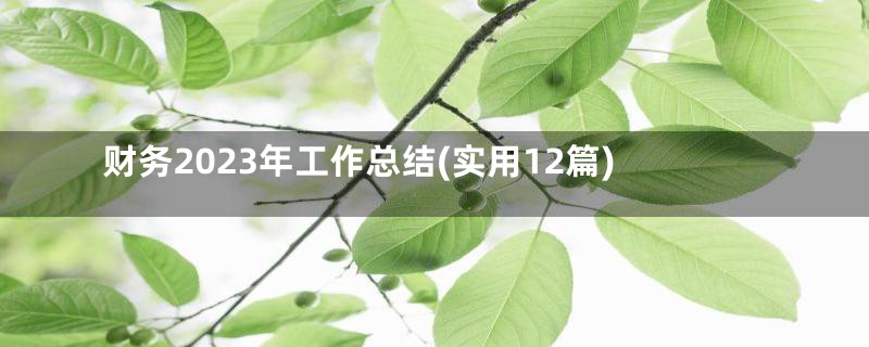 财务2023年工作总结(实用12篇)