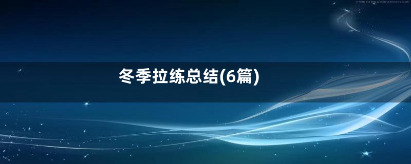 冬季拉练总结(6篇)