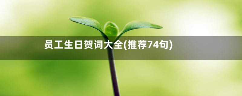 员工生日贺词大全(推荐74句)
