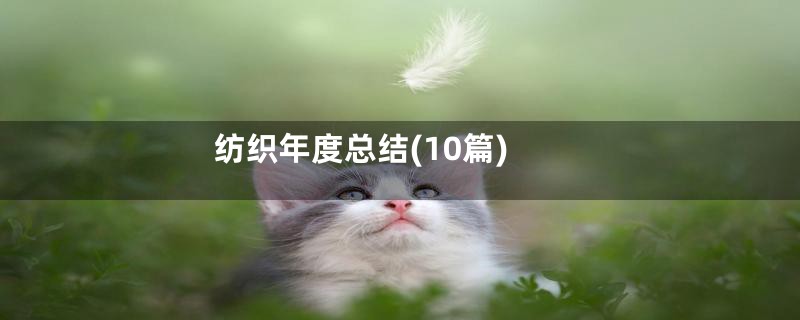 纺织年度总结(10篇)