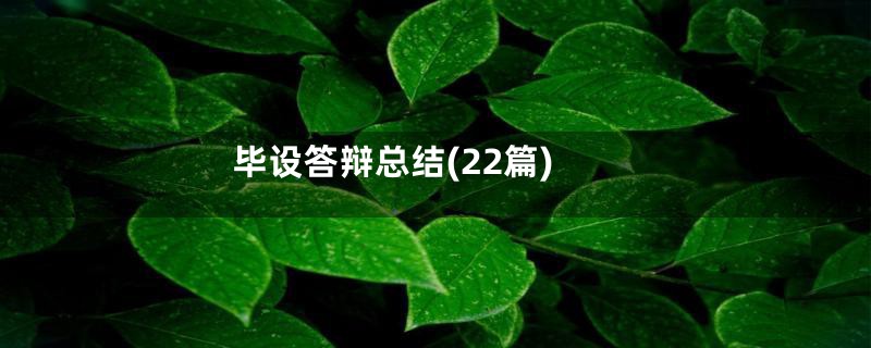 毕设答辩总结(22篇)