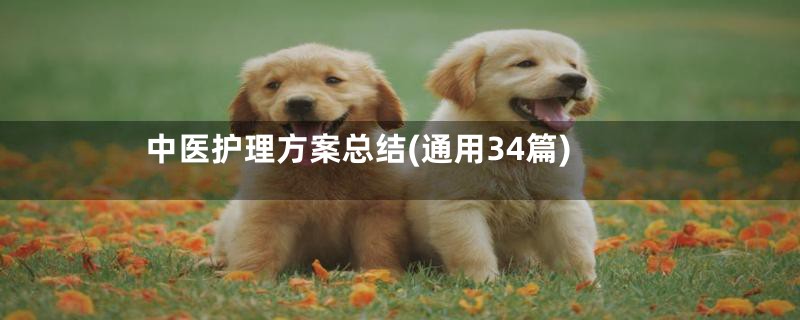 中医护理方案总结(通用34篇)