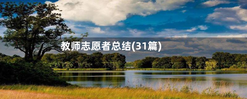 教师志愿者总结(31篇)