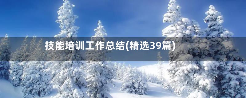 技能培训工作总结(精选39篇)