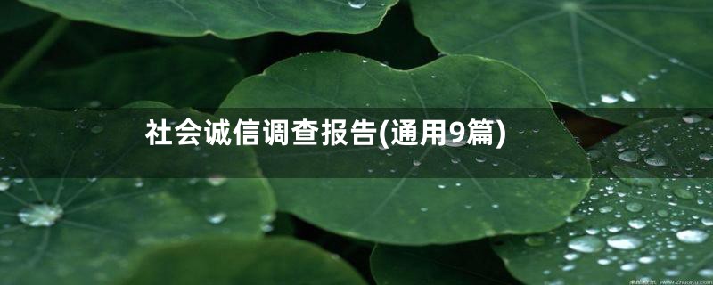 社会诚信调查报告(通用9篇)