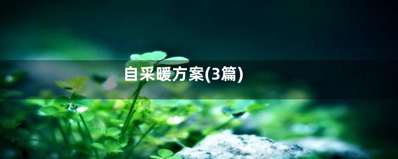 自采暖方案(3篇)