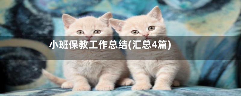 小班保教工作总结(汇总4篇)