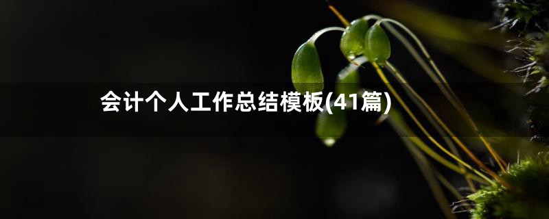 会计个人工作总结模板(41篇)