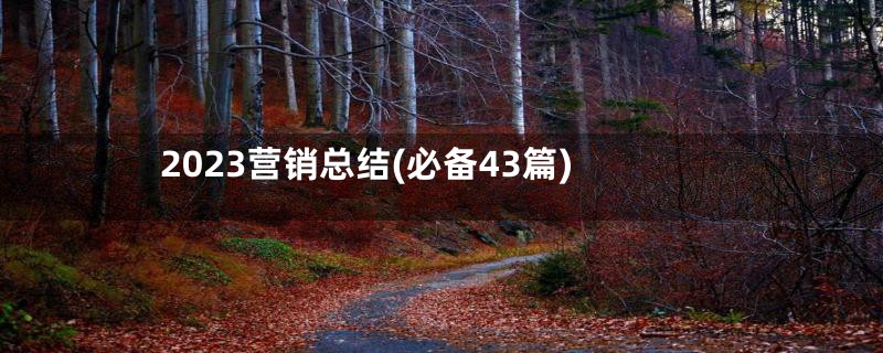 2023营销总结(必备43篇)