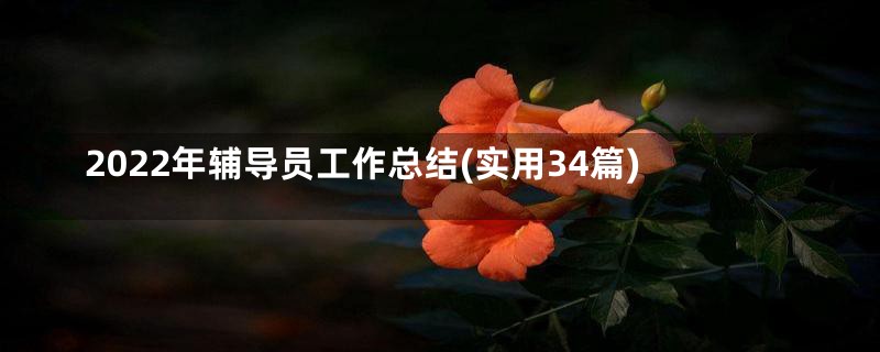 2022年辅导员工作总结(实用34篇)