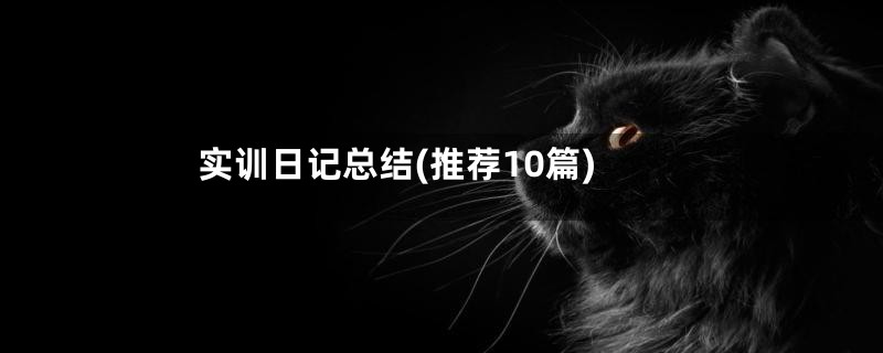 实训日记总结(推荐10篇)