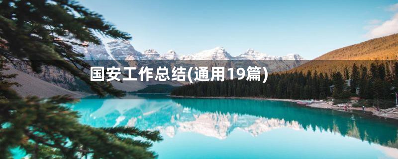 国安工作总结(通用19篇)