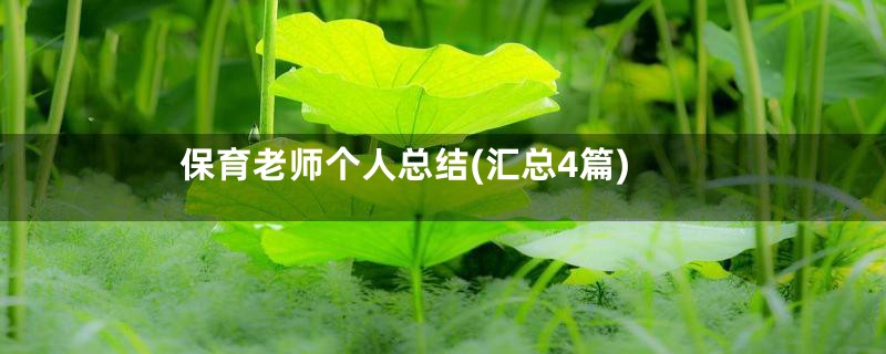 保育老师个人总结(汇总4篇)