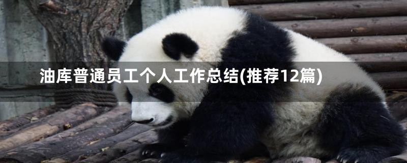 油库普通员工个人工作总结(推荐12篇)
