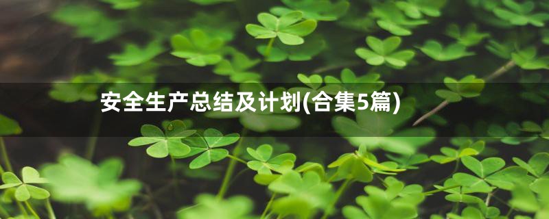 安全生产总结及计划(合集5篇)