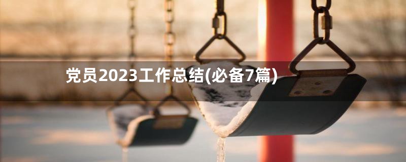 党员2023工作总结(必备7篇)