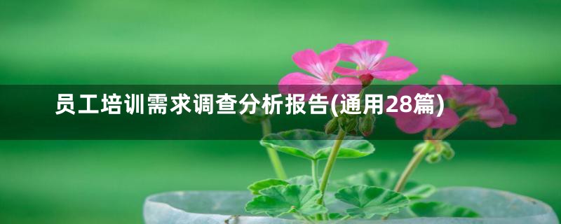 员工培训需求调查分析报告(通用28篇)