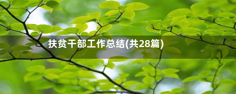 扶贫干部工作总结(共28篇)