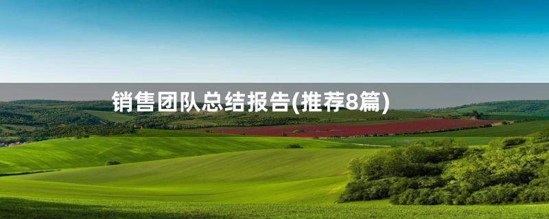 销售团队总结报告(推荐8篇)