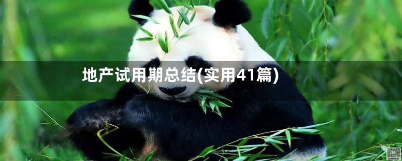 地产试用期总结(实用41篇)