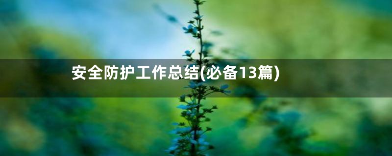 安全防护工作总结(必备13篇)