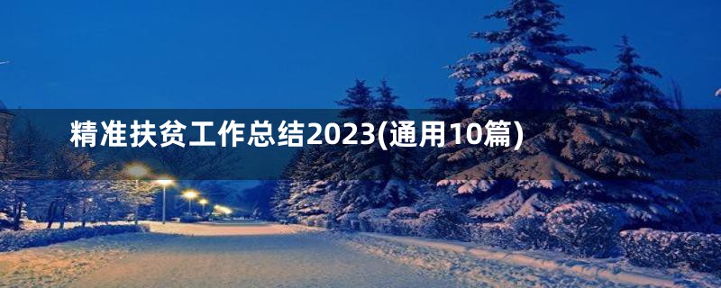 精准扶贫工作总结2023(通用10篇)
