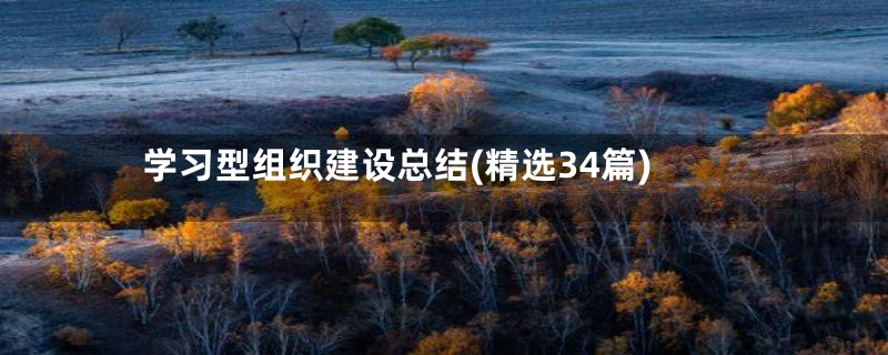 学习型组织建设总结(精选34篇)