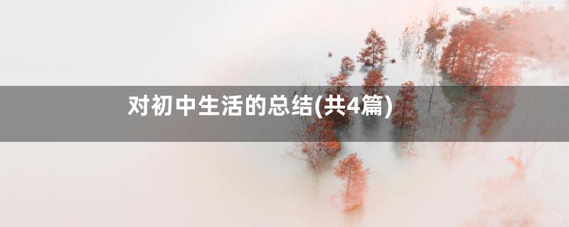 对初中生活的总结(共4篇)