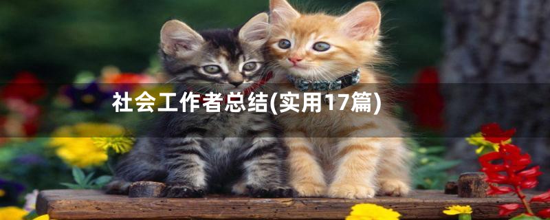 社会工作者总结(实用17篇)