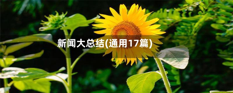新闻大总结(通用17篇)