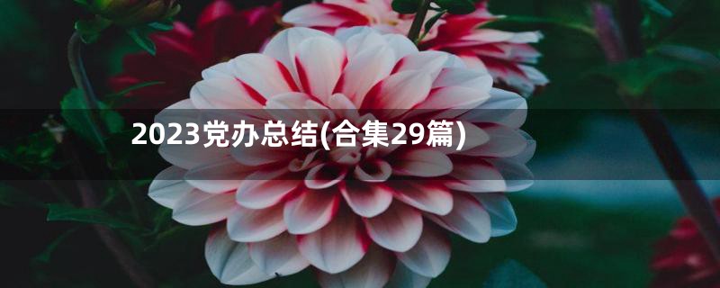 2023党办总结(合集29篇)