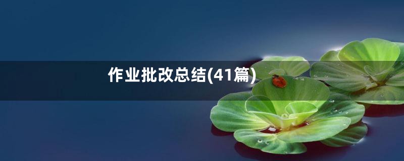 作业批改总结(41篇)