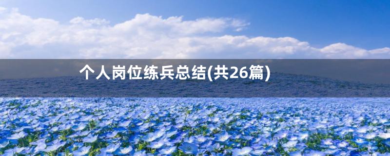 个人岗位练兵总结(共26篇)