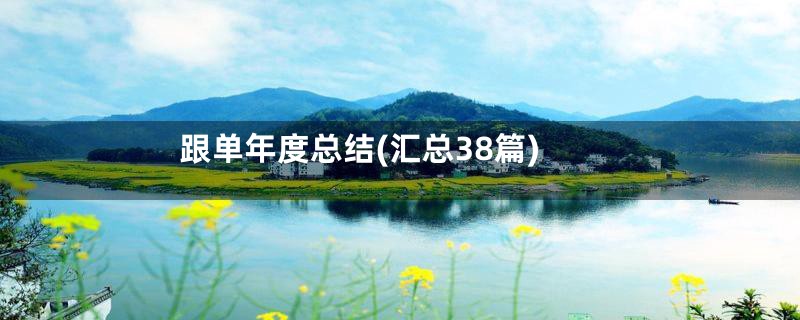 跟单年度总结(汇总38篇)
