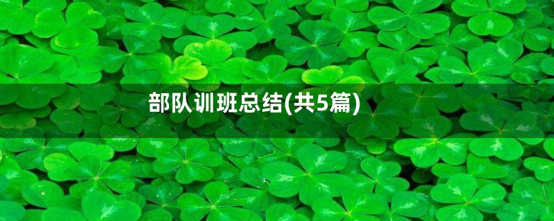 部队训班总结(共5篇)