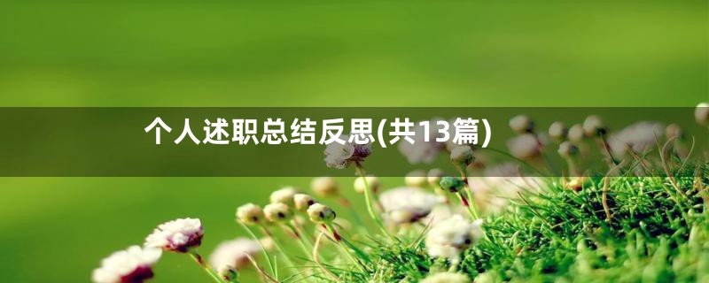 个人述职总结反思(共13篇)