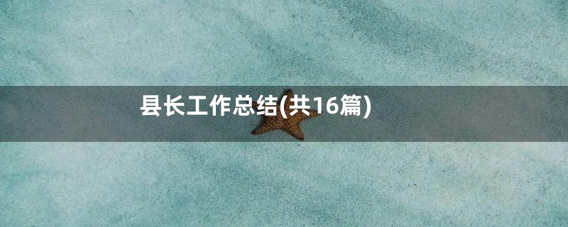 县长工作总结(共16篇)