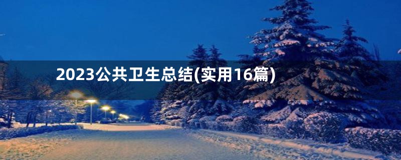 2023公共卫生总结(实用16篇)