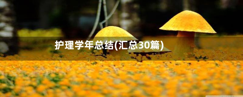 护理学年总结(汇总30篇)