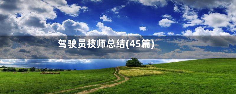 驾驶员技师总结(45篇)