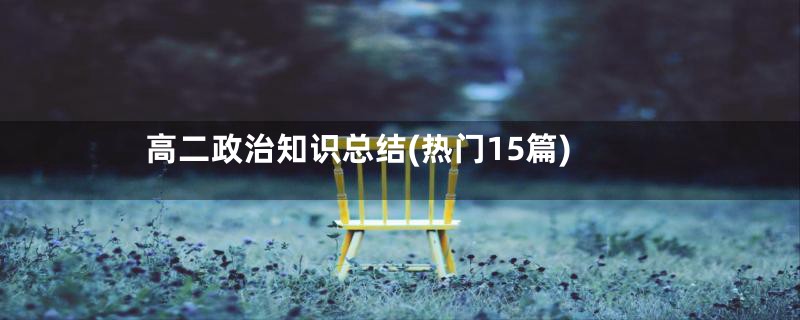高二政治知识总结(热门15篇)