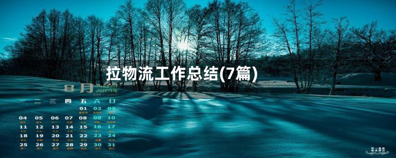 拉物流工作总结(7篇)