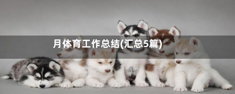 月体育工作总结(汇总5篇)
